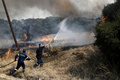 ギリシャ北部アレクサンドルポリス付近で、山火事の消火に当たる消防隊（2023年8月23日撮影）。(c)Sakis MITROLIDIS / AFP