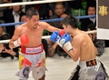 河野がKO勝ちで王座奪還、WBA世界スーパーフライ級 写真10枚 国際