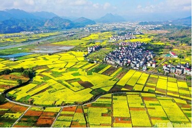 中国 浙江省 写真集 Beautiful Zhejiang（Near | Xitang