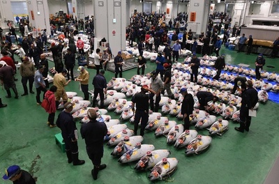 豊洲市場開場、マグロの初競り 小池都知事も見学