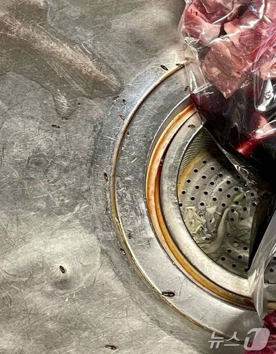 韓国・百貨店の有名レストランの厨房を見て卒倒…肉の入った袋の近くで動くもの