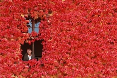 ちょこっと旅気分、秋深まるドイツ 初雪も