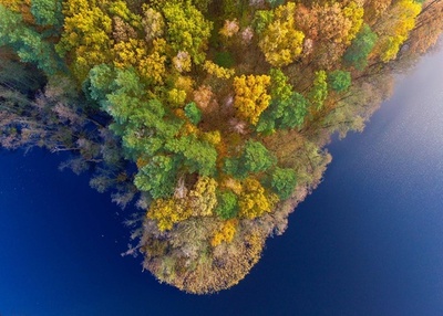 晩秋迎えたドイツの森、秋色に染まった木々