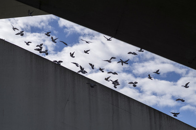 【今日の1枚】橋の枠組み、1枚の絵 台湾