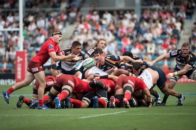 サンウルブズが首位ブランビーズに完敗、今季12敗目