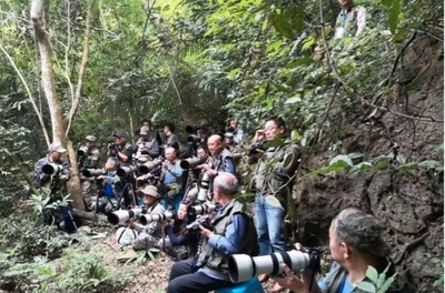 野鳥観察が村を変える　広西のカルスト山林で進む自然保護