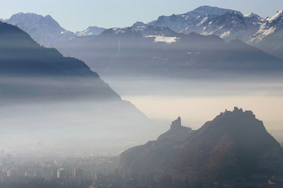 アルプスの野生生物に地球温暖化の影響