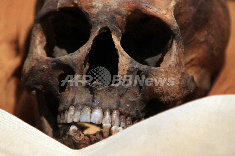 ツタンカーメン王はマラリアで死亡、アクエンアテン王が父 ついになぞが明らかに