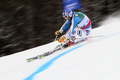 アルペンスキー世界選手権2013（2013 FIS Alpine World Ski Championships）は15日、オーストリアのシュラートミング（Schladming）で男子大回転が行われ、米国のテッド・リゲティ（Ted Ligety）が優勝した。

滑走に臨むマルセル・ヒルシャー（Marcel Hirscher、2013年2月15日撮影）。(c)AFP/FABRICE COFFRINI
