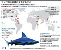 サンゴ礁や岩礁に生息する世界のサメ。海域における個体数の増減を示した図（2020年7月21日作成）。(c)JOHN SAEKI / AFP
