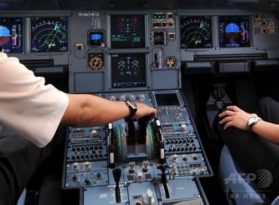 操縦機 独墜落機の最後の瞬間 ─ 無言の副操縦士、絶叫する機長と乗客 写真1枚