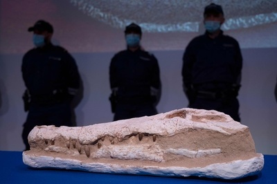 仏で発見の「大量の」考古遺物、モロッコに返還 計3トン