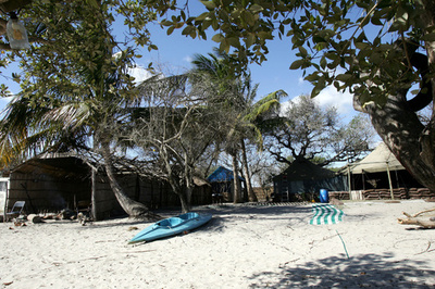 サイクロン「ディネオ」死者7人、13万人に避難命令 モザンビーク