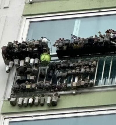 ベランダ埋め尽くす大量の植木鉢…韓国で物議、「落下の危険」「台風ならどうする」と批判相次ぐ