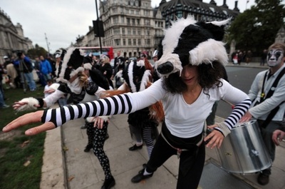 英政府、アナグマ駆除計画を来年に延期 抗議相次ぎ