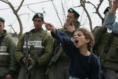 聖地での工事にイスラム教徒ら反発、ペレツ国防相が中止要請 - イスラエル