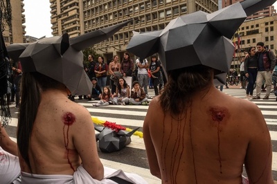 「殺さないで」、上半身裸で闘牛廃止訴え コロンビア