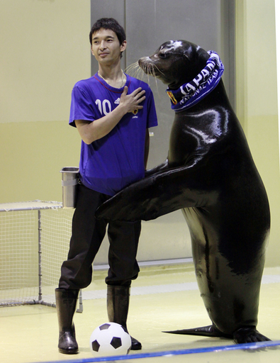 日本チームを応援するアシカのバロン君