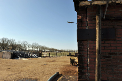 オランダ、欧州最大のガス田を閉鎖へ 相次ぐ地震で