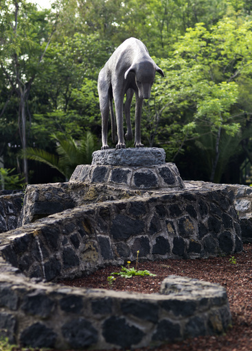 しょんぼり寂しそう、野良犬の記念像 メキシコ