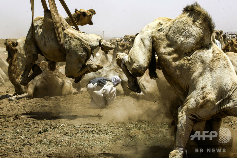 【今日の1枚】政治的混乱とは別世界…首都からわずか100キロ