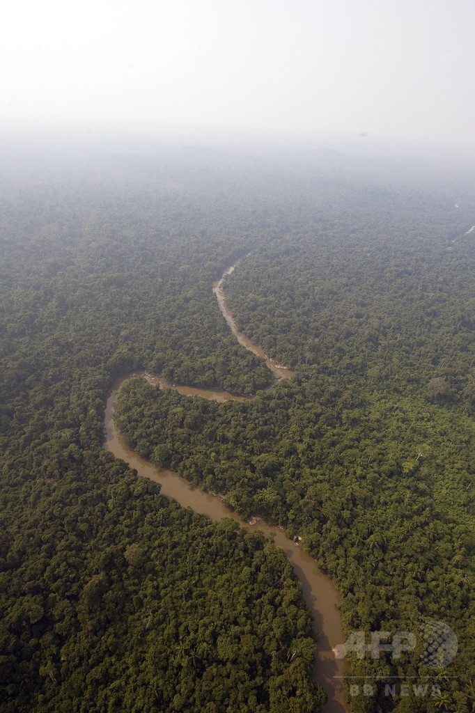 カナダの不明男性 南米アマゾンで保護 失踪から5年 写真1枚 国際