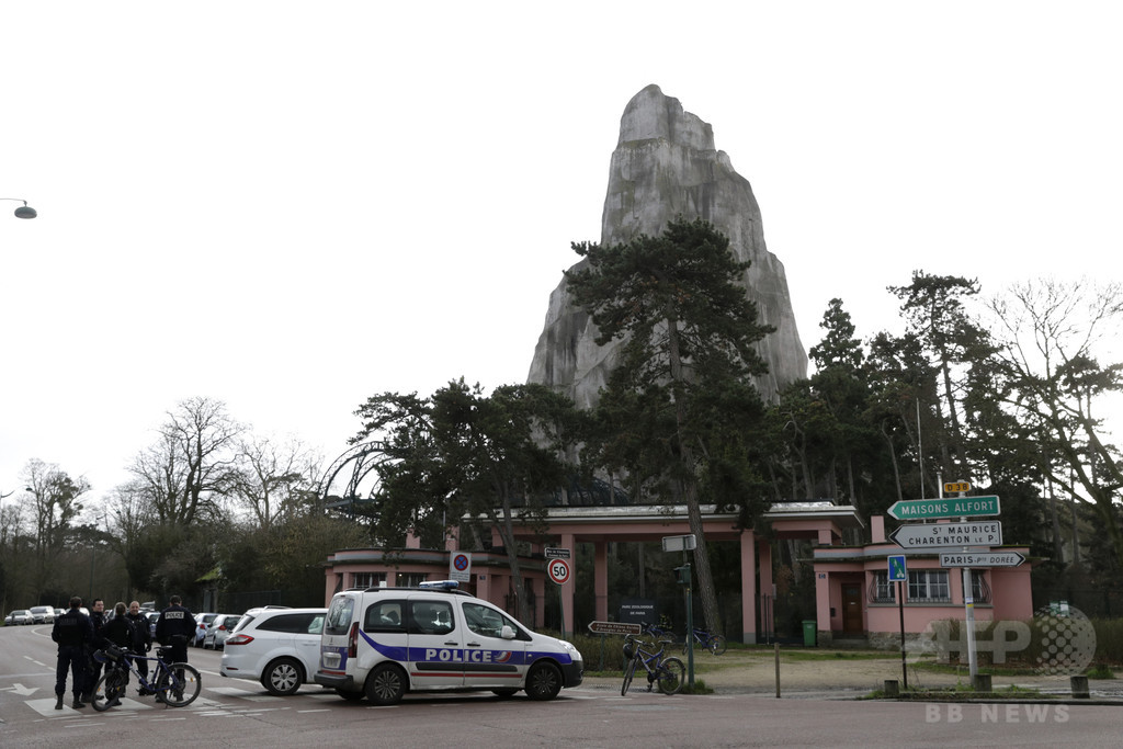 脱走ヒヒ、最後まで逃げていた3頭捕獲 パリ動物公園が営業再開 脱走ヒヒ、最後まで逃げていた3頭捕獲 パリ動物公園が営業再開