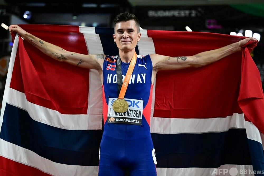 超稀少！ インドネシア多肉 直輸入 ブラックプリンスストライプ錦 双頭