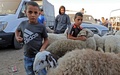 イスラム教の犠牲祭イード・アル・アドハが近づく中、パレスチナ自治区ヨルダン川西岸ヘブロンの家畜市場にやって来た人々。市場ではいけにえにする家畜が売買される（2021年7月16日撮影）。(c)MOSAB SHAWER / AFP