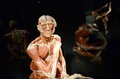 ドイツ・ベルリンにオープンした博物館「Menschen Museum」に展示される男性の全身標本（2015年2月17日撮影）。(c)AFP/JOHN MACDOUGALL
