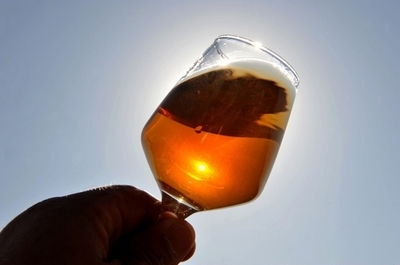 木から落ちるまで酒飲む「ポッサムゲーム」が学生間で流行、NZ