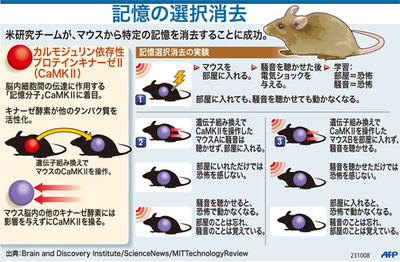 【図解】マウスの記憶の選択的消去実験