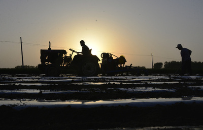 結婚は中国人男性のメンツのため…売られるメコン諸国の花嫁