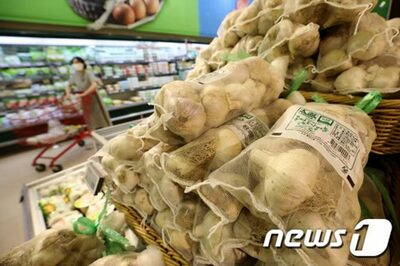 「外食物価非常事態」韓国・輸入ニンニク価格、1年で50％急騰…中国産の価格上昇