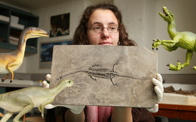 中国政府がオーストラリアに恐竜の化石をプレゼント