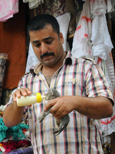 断食明けに善行を！野良猫の赤ちゃんにミルク、インド