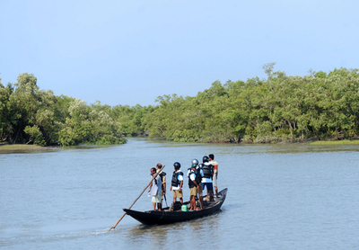トラ生息数が増加に転じる、インド
