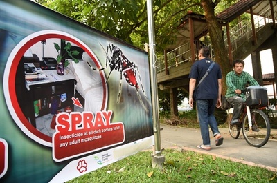 シンガポールのジカウイルス感染者、82人に急増 駆除作業急ぐ