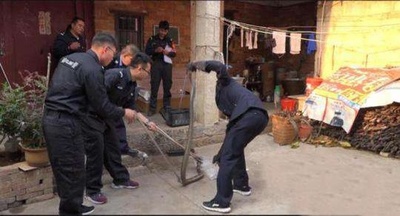 雲南の民家でキングコブラ捕物騒ぎ 体長2.5メートル