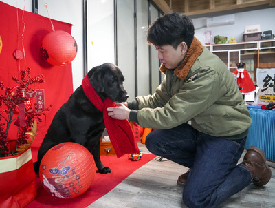自宅に残したペットにフードデリバリーの新サービス 春節連休