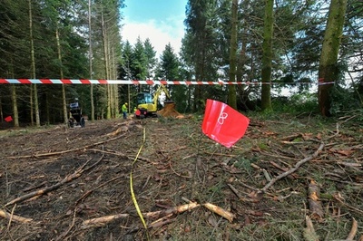 レジスタンスが処刑のドイツ兵集団墓地、発掘作業が開始 仏