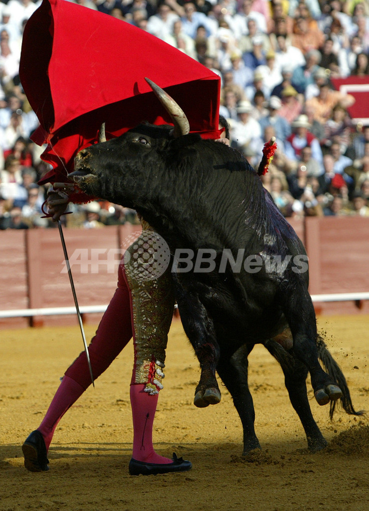 闘牛士「カスティーリャ」、今シーズンのオープニングを飾る - スペイン