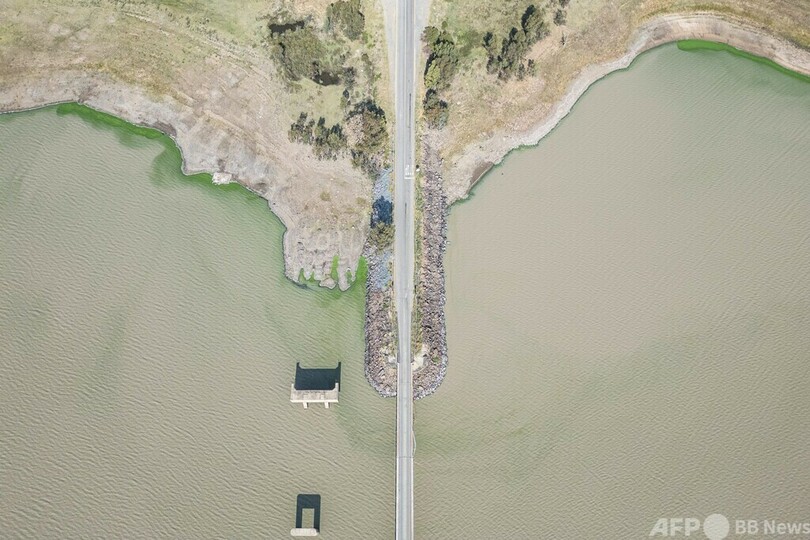 【今日の1枚】水中にたなびく藻 南ア