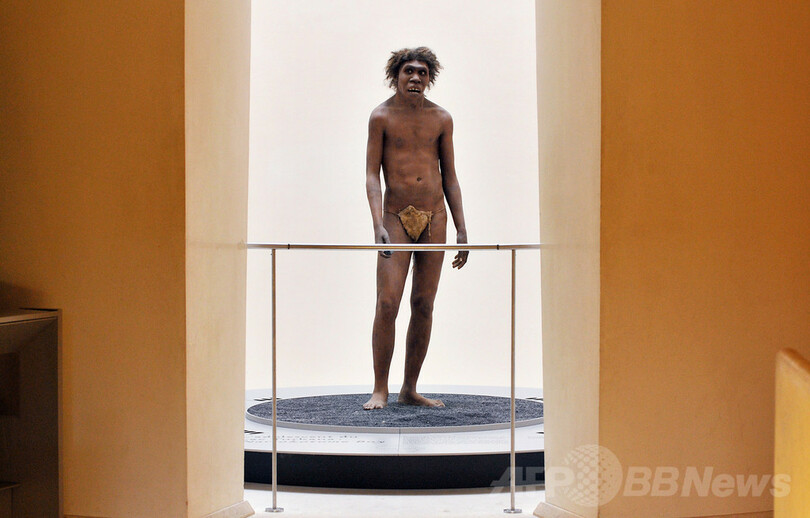 現人類、ネアンデルタールと交配で寒さ耐性獲得 研究