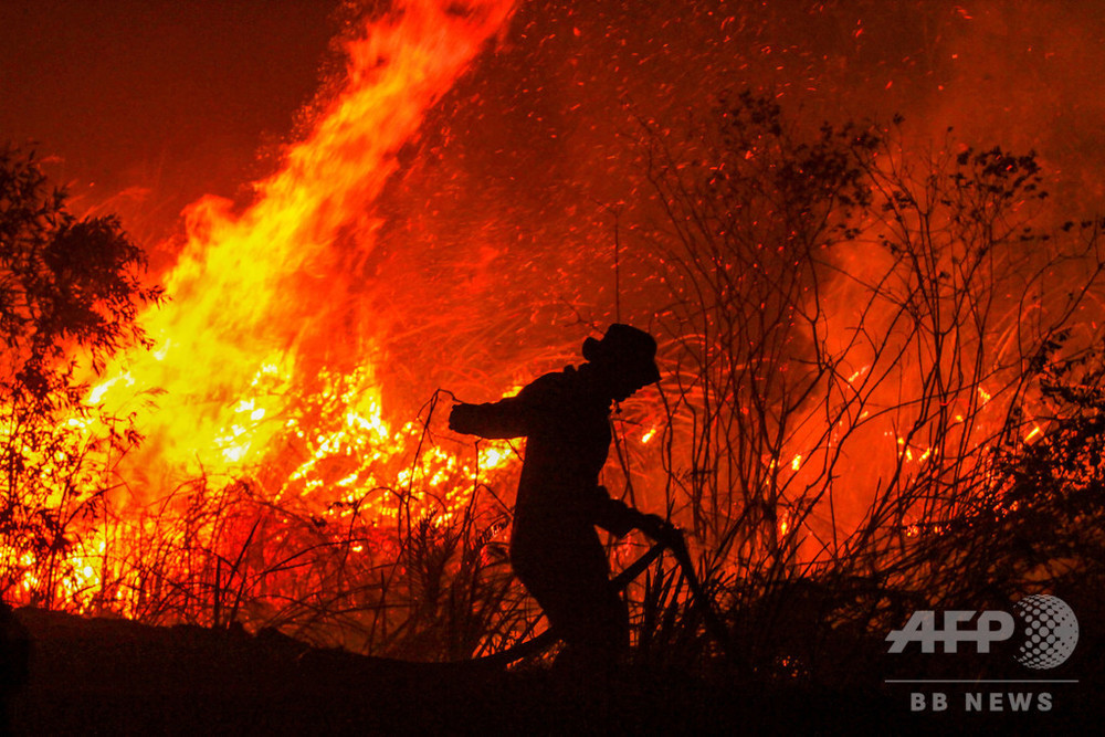 インドネシアで森林火災急増 マレーシアにスモッグ広がる 写真12枚 国際ニュース Afpbb News