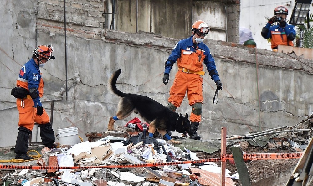 メキシコ地震、「72時間」経過後も捜索継続 日本などの救助隊も活動 写真18枚 国際ニュース：AFPBB News