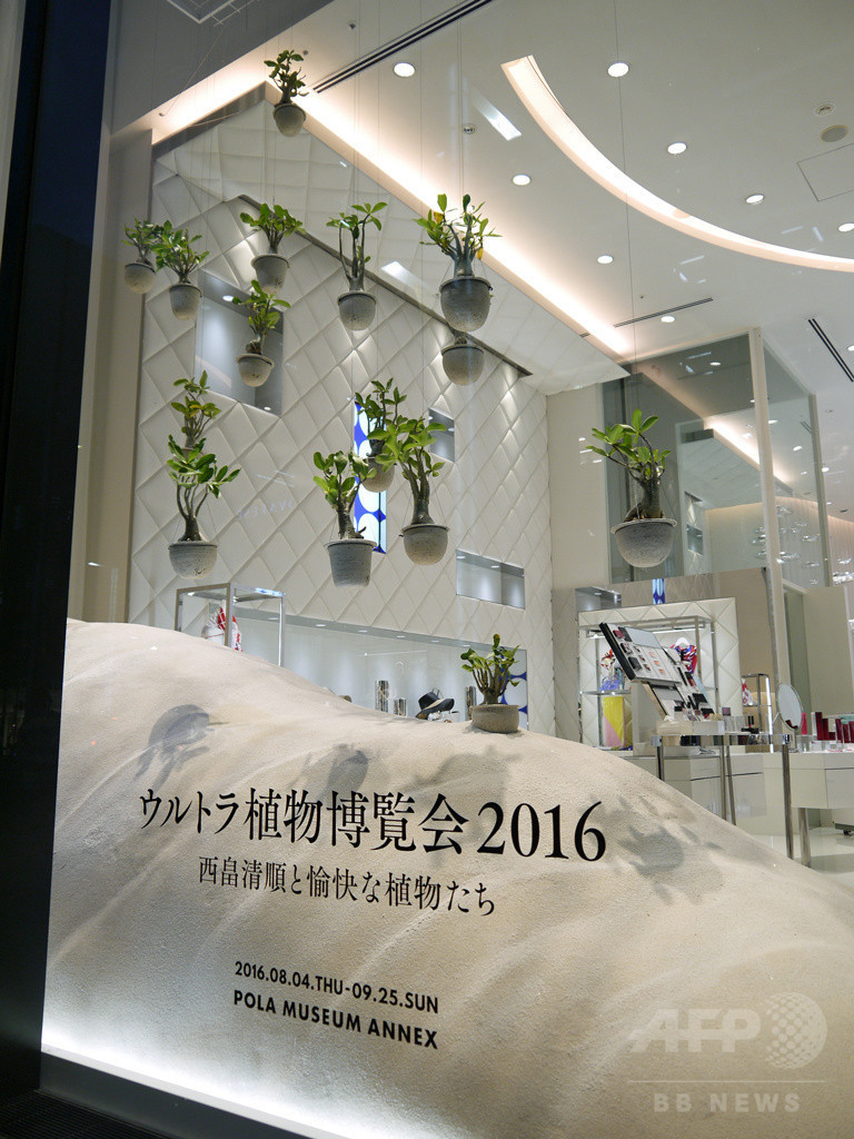 「ウルトラ植物博覧会」が銀座にカムバック