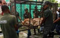 コロンビア環境保護当局によって西部カリの動物園に移送された、衰弱した20歳の雄ライオン「ジュピター」。カリ市長室提供（2020年2月27日撮影）。(c)AFP PHOTO / CALI MAYOR&apos;S OFFICE / GUILLERMO GUTIERREZ