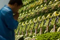 韓国・安山（Ansan）市の体育館に設置された旅客船セウォル（Sewol）号の犠牲者を追悼する献花台を訪れた人（2014年4月23日撮影）。(c)AFP/KIM DOO-HO