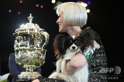 最高賞にパピヨンの「ディラン」、世界最大規模の英ドッグショー 写真